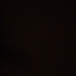 Meet your Posher, Dylan